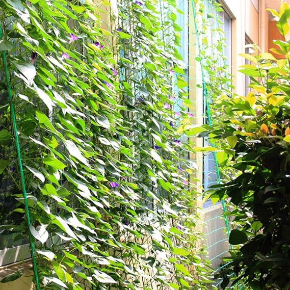 Delimitadores de bordes Enrejados Estacas de jardín Huertos ...