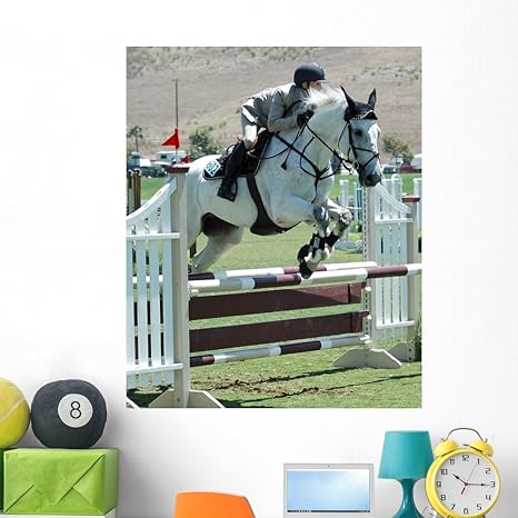 Amazon.com: Caballo Rider saltando Barrera Mural por ...