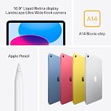 Apple iPad 10th Gen 10.9 in Wi-Fi 256GB Silver 2022 view 3