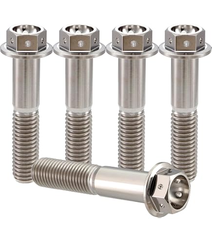 RISON Titanium Bolts M8*1.25 * 20 Torx Titanium Bolts for