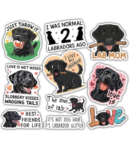 CELYCASY - Decalcomania Con Labrador, Labrador Retriever Decal - Foto 7