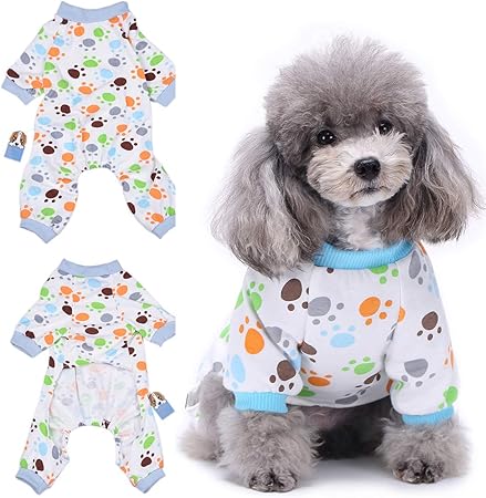 toy poodle pajamas