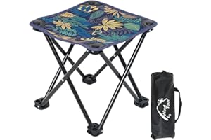 WIND TOUR Portable Folding Camping Stool Outdoor Camping Lightweight Samll Chair for Fishing Hiking Gardening and Beach with Carry Bag (Blue)