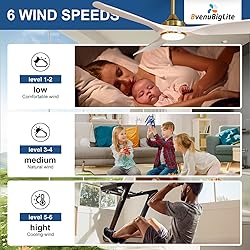 BvenuBigLite Ceiling Fan with Light Modern: 52 Inch