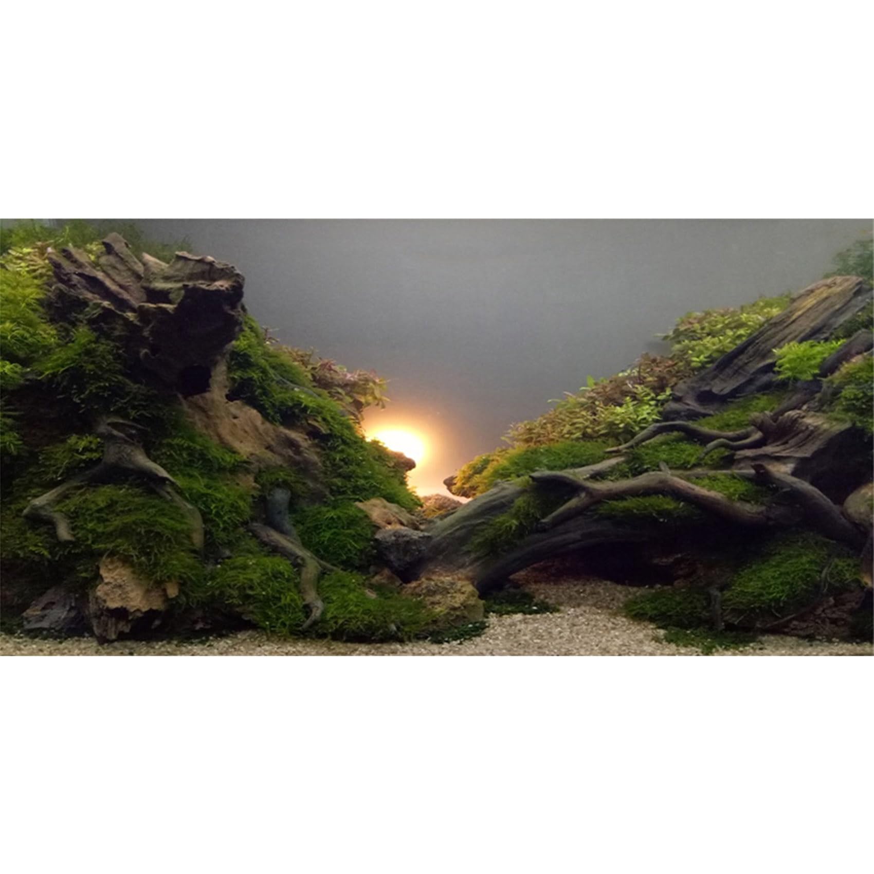 MIRRORANG 61x30cm River Bed & Lake Aquarium Background Sunshine Aquatic Plant Fish Tank Background Vinyl