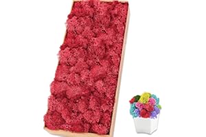 TCYPUHL Preserved 17.6 OZ Red Reindeer Moss for Potted Plants,Craft Decor for Wall Art,Fake Moss for DIY Decorative(1.1 LB, Red)