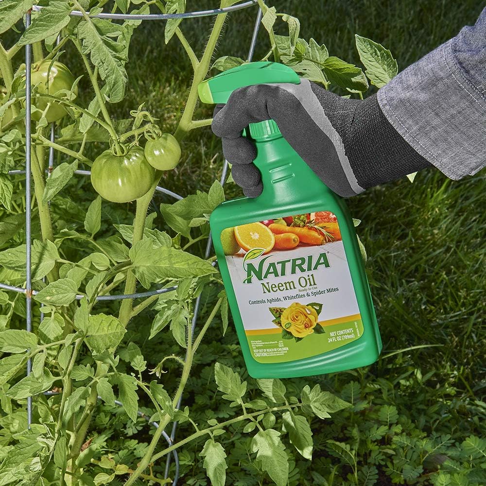 Natria 706250A Neem Oil Pest and Disease Control, 24-Ounce, Ready-to-Use : Garden & Outdoor