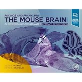 Paxinos and Franklin's the Mouse Brain in Stereotaxic Coordinates, Compact: The Coronal Plates and Diagrams