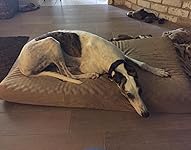 Review Image by KeziaPurrs