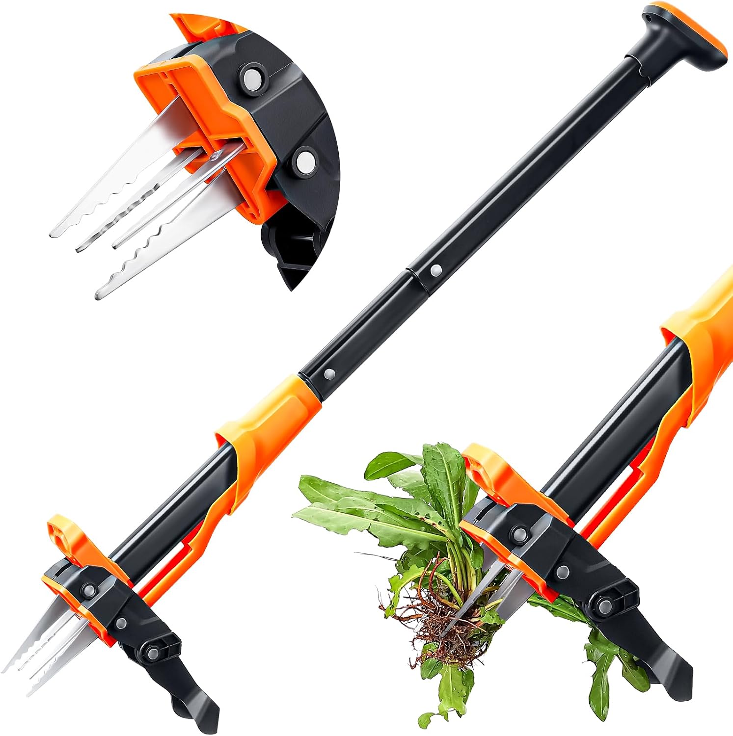 Crywag Weed Puller Tool - Stand Up Weed Puller with 4-Claw Steel Head, 39" Retractable Handle & Easy-Eject Mechanism for Dandelions, Clover & More, No Bending or Kneeling - Orange