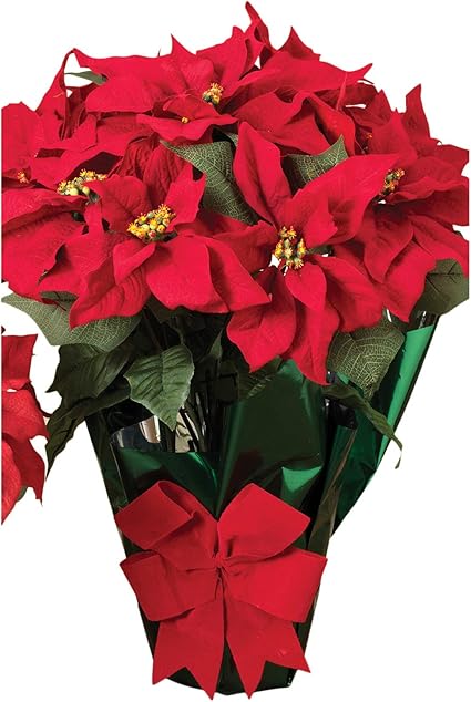 22 Potted Red Poinsettia Plant With 10 Flowers And Decorative Bow Amazon Co Uk Home Kitchen