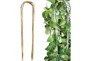 Avalution 10 Pcs Natural U-Hoops Bamboo Garden Trellis, 4 Ft Bamboo Trellis U-Shape Plant Support for Climbing Plants Indoor and Outdoor Use
