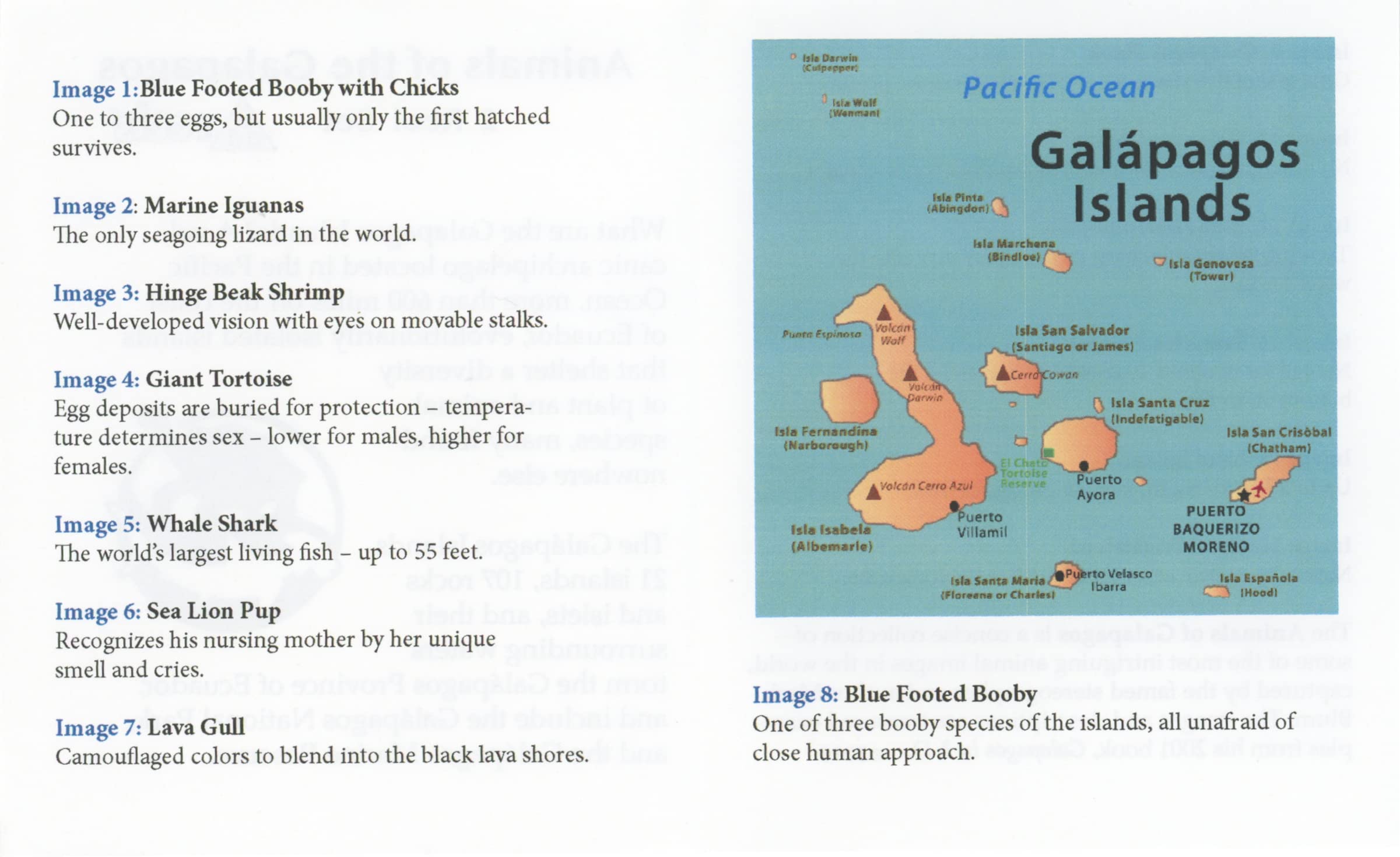 Galapagos - Compatible with View-Master 2 Reel Set - New