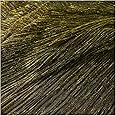 3 Meters Gold Shiny Ultra-fine Pleated Fabric Accordion Mesh Tulle Cloth Evening Dress Clothes Materials 150cm 59"Width MM456 (N Gold)