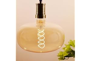SDLUXBULB Oversized Decorative LED Light Bulb 6W 500LM E26 Large Fancy Edison Bulbs 60W Incandescent Dimmable 2200k Warm Whit