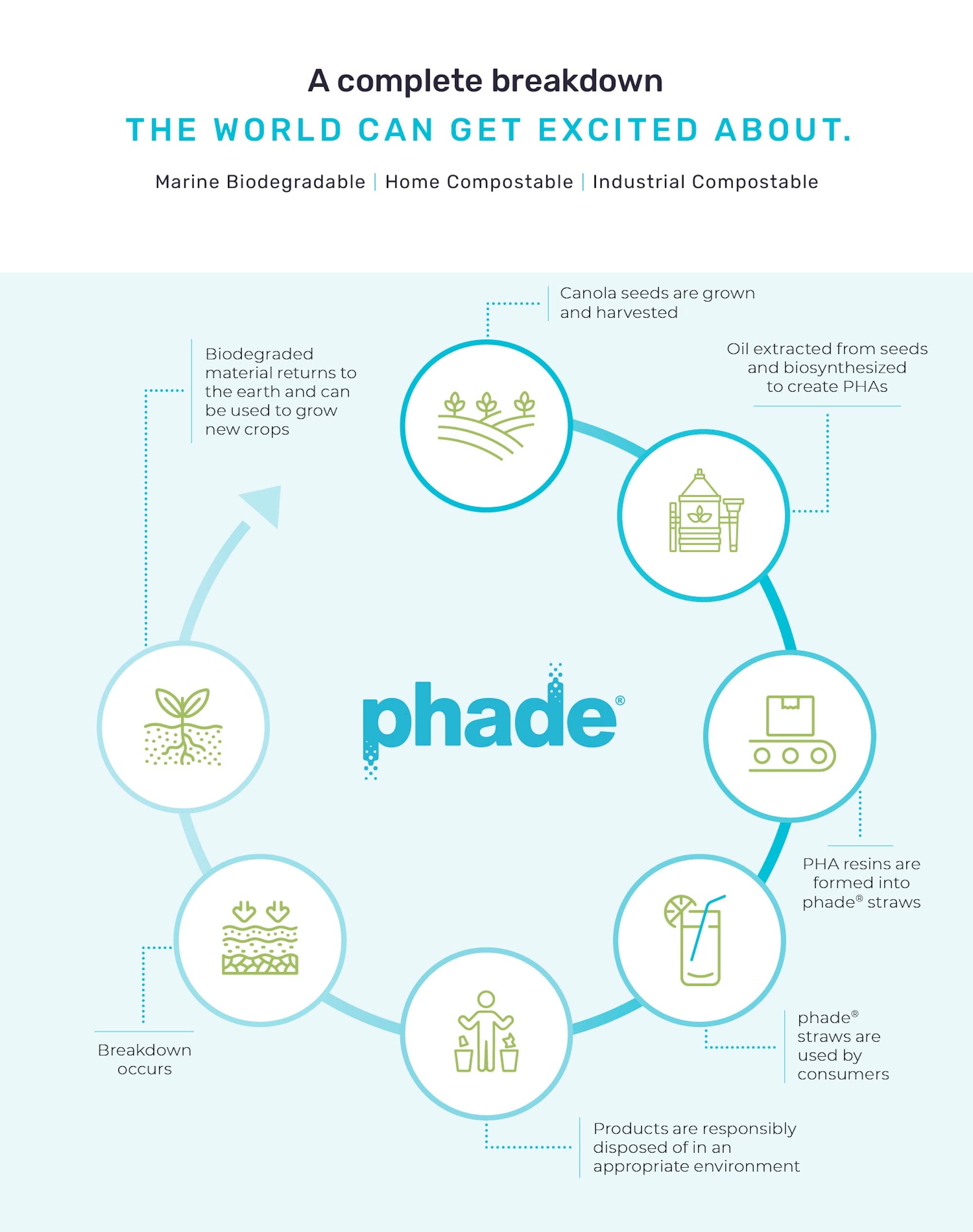phade Eco-Friendly 7.75" Jumbo Drinking Straws, Un-wrapped 600 Count - Sustainable Marine Biodegradable, Compostable, 1 Pack - Image 5