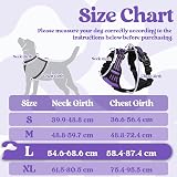 rabbitgoo Large Dog Harness Front Back Clip No-Pull Reflective Purple L view 2