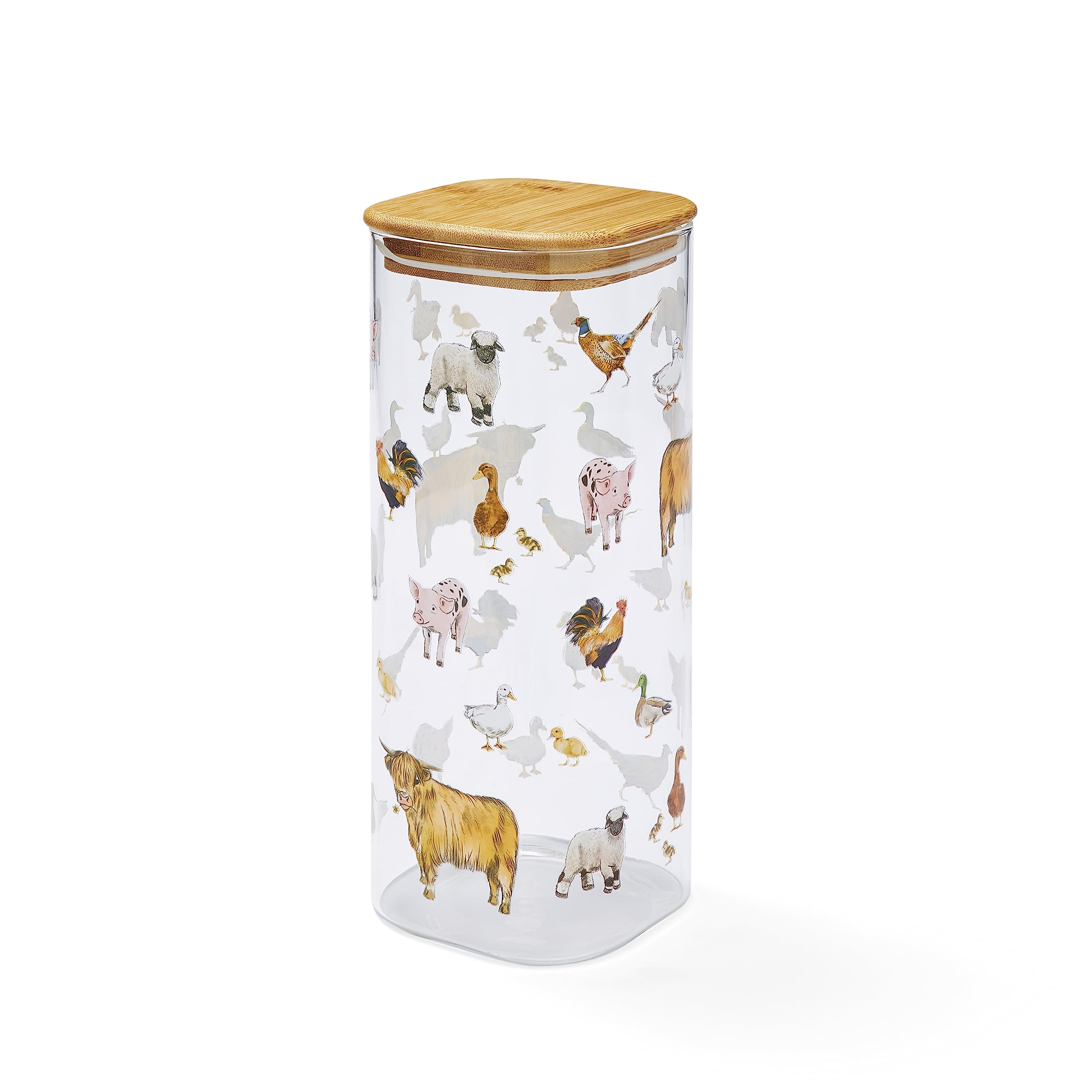 Cooksmart British Designed X-Large Glass Storage Jars | Glass Storage Jars For Kitchen With Modern Designs | Spaghetti Storage Jar or Pasta Containers - Buttercup Farm