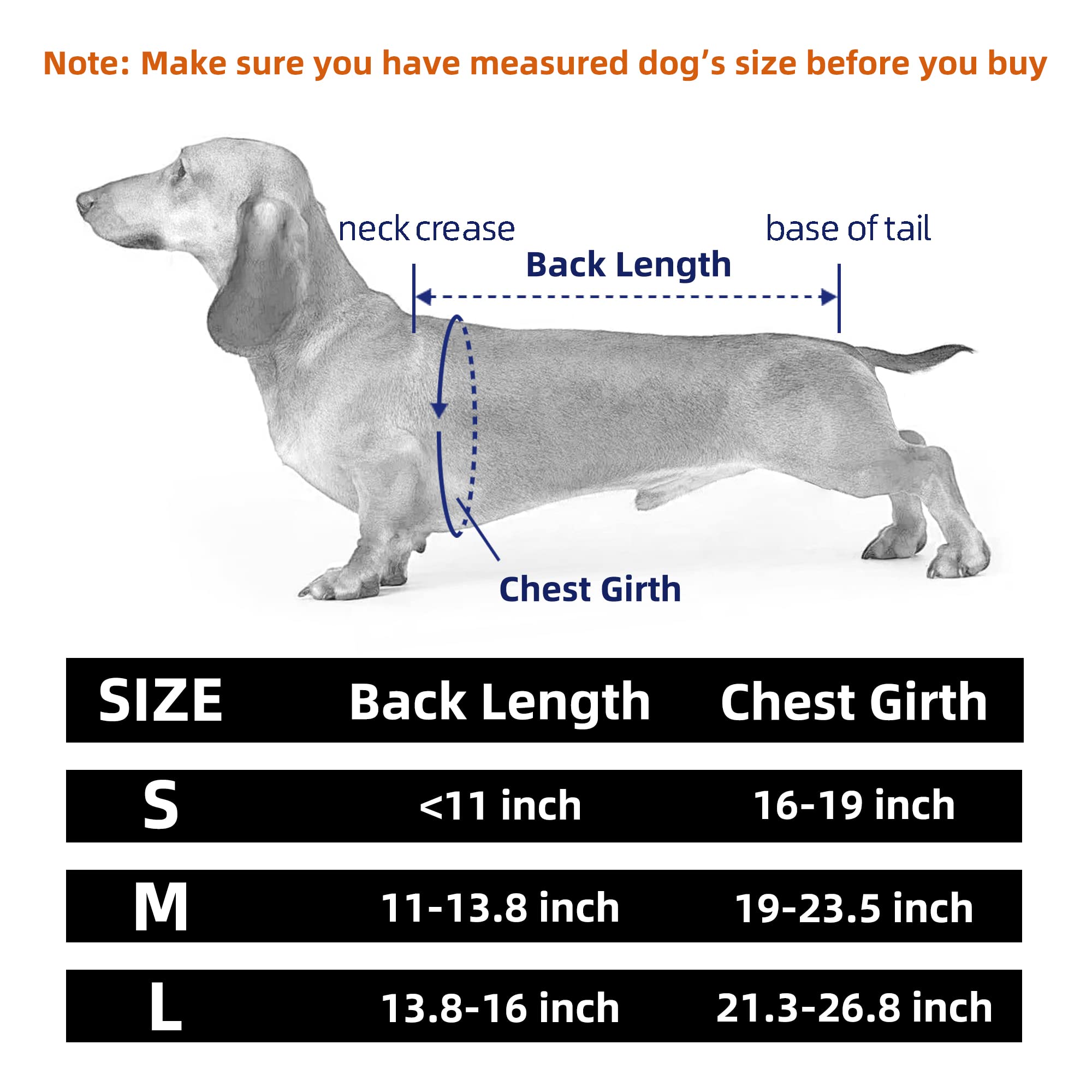 JOCUND Dog Back Brace for IVDD, Arthritis Pain Relief for