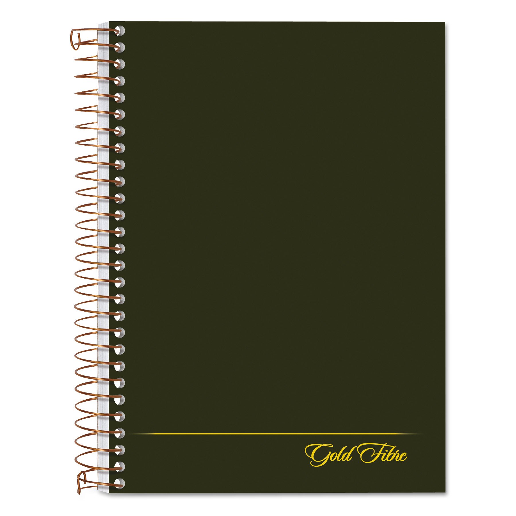 Ampad Gold Fibre Classic Series Personal Notebook, Page and Date Headings with Pocket Cover, Medium Ruling, 100 Sheets (20-801R)