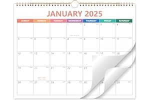 LORTARL 2025 Calendar - 2025 Wall Calendar from January 2025 to December 2025, Calendar 2025 with Premium Paper, Spiral Bound, 14.5'' x 11.5''