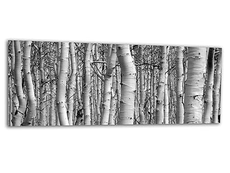 KD Dsign+ XXL Glasbild AG312500545 MURAL BIRKEN WALD S/W 125 x 50 cm/WANDBILD Deco Glass/Handmade