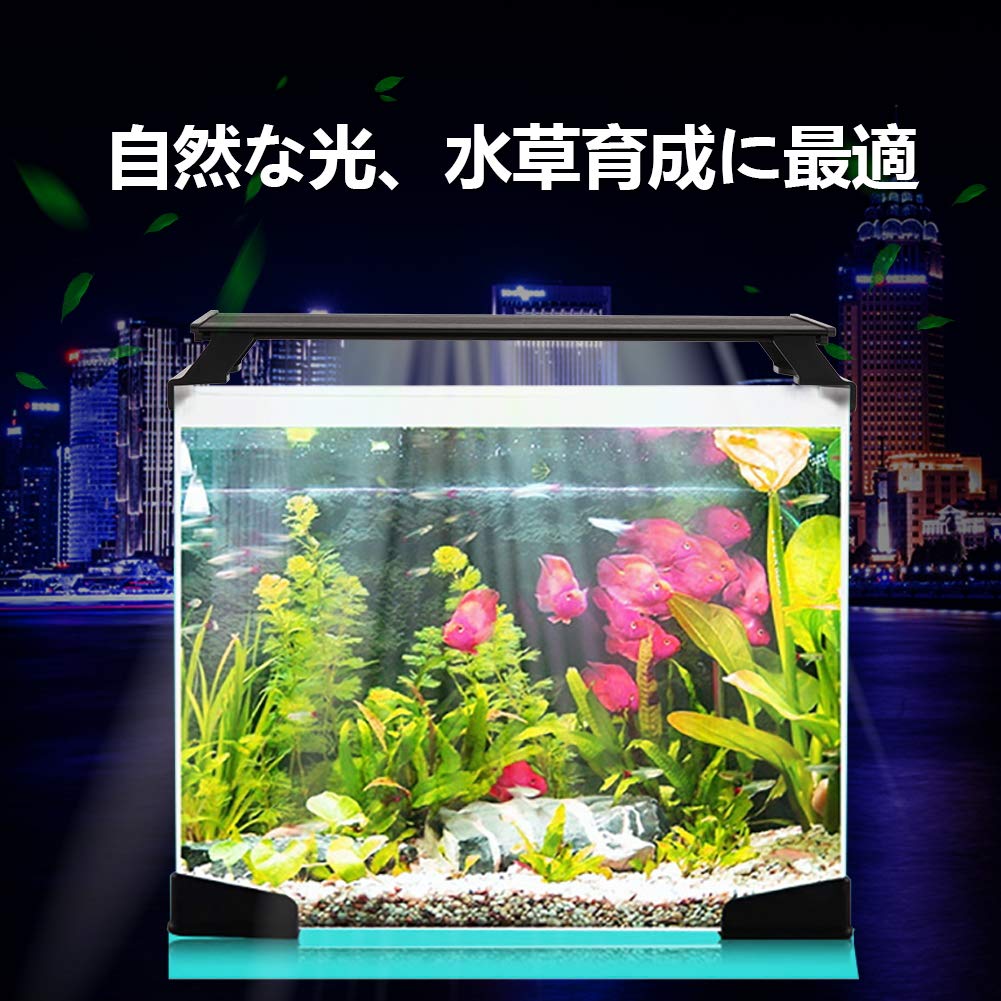 Mua Zepson 水槽ライト アクアリウム ライト 4色白 赤 青 緑パワーled照明 観賞魚 熱帯魚 水草育成 ブラケット付き 超薄型 18w省エネ 最大30cm水槽対応可 Tren Amazon Nhật Chinh Hang 21 Fado