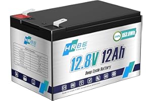 HRBEENERGY 12V 12AH LiFePO4 Battery Rechargeable Lithium Battery, Built-in 12A Reliable BMS Protection, 2000+ Deep Cycles,Special for Small-UPS, Ride on Toys, Home Alarm System, Scooter, Monitor