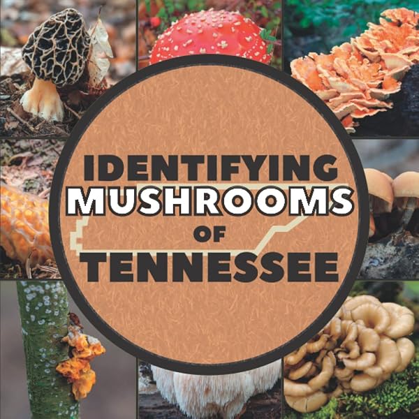 Collins Fungi Guide: The Most Complete Field Guide to the