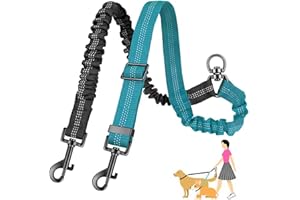 AKEISHE Double Dog Leash for Two Dogs - 2-in-1 Upgraded Double Leash for Two Dogs with Adjustable Strap & Shock Absorbing Bungee, No Tangle Dual Training Splitter (Blue)