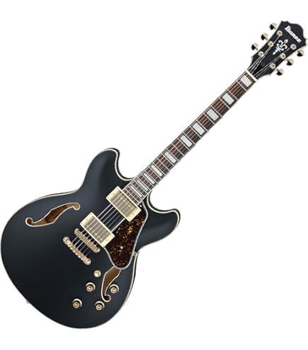 Amazon.com: Ibanez AF75GBKF AF Artcore 6 String Black Flat Hollow