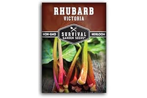 Survival Garden Seeds - Victoria Rhubarb Seed for Planting - 1 Packet with Instructions to Plant and Grow Cold-Tolerant Perennial Spring Vegetables in Your Home Garden - Non-GMO Heirloom Variety