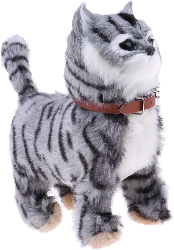 baby poodle for sale