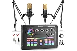 HAYNER-SEEK Podcast Equipment Bundle for 2, Audio Interface with Voice Changer Plus Condenser Microphones for Live Streaming, DJ Mixer Perfect for Podcast Recording, Gaminging, Singing, YouTube