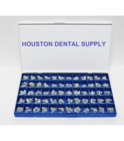 Amazon.com: UVUBXT Dental Crown Forms Transparent Strip Off Crowns