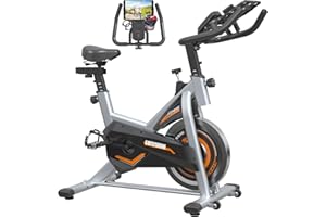 GOFLYSHINE Exercise Bikes Stationary,Exercise Bike for Home Indoor Cycling Bike for Home Cardio Gym,Workout Bike with pad Mount & LCD Monitor,Silent Belt Drive