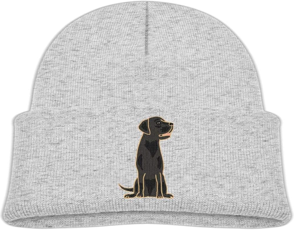 labrador hat