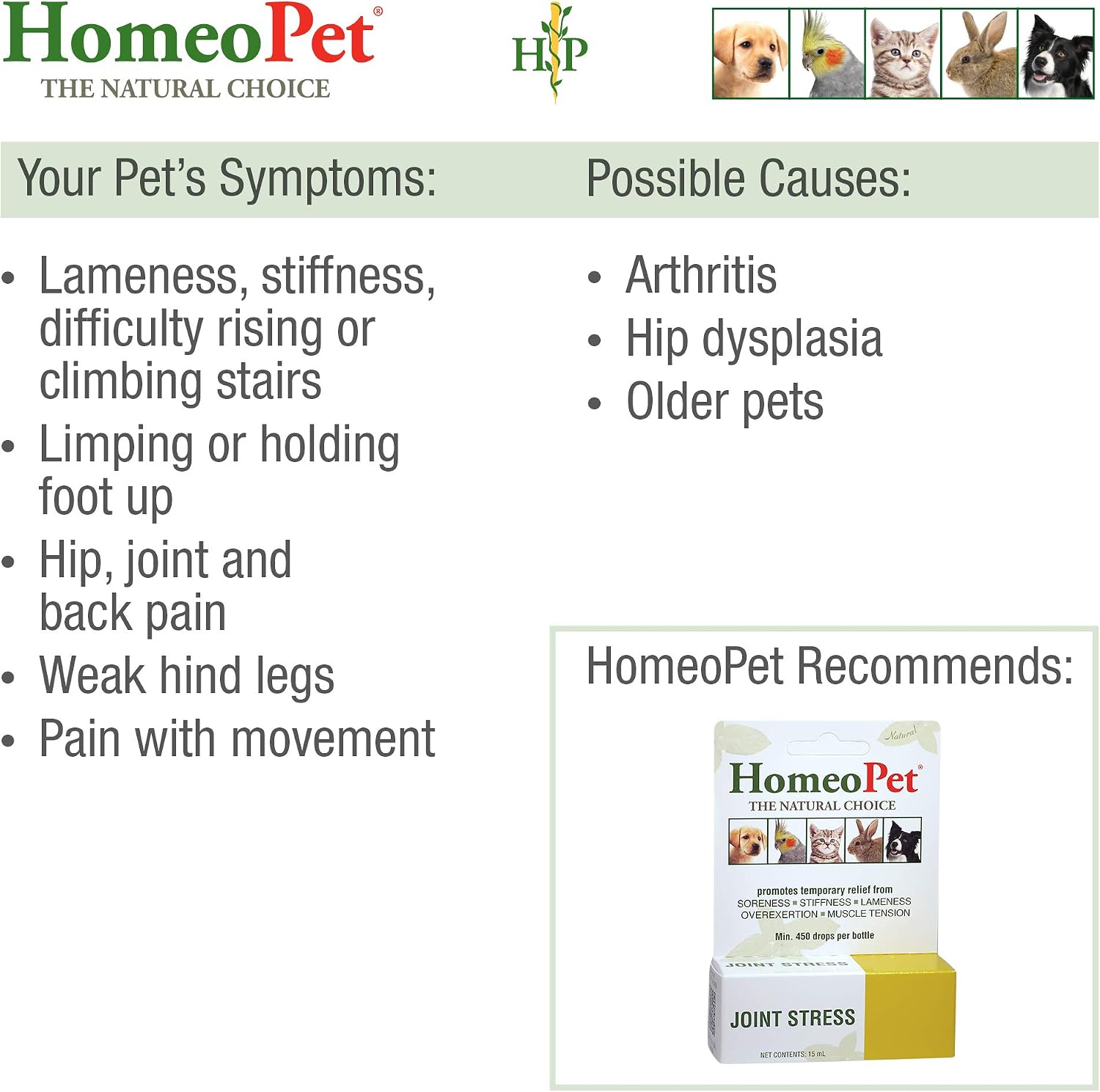 HomeoPet Joint Stress, Joint Support for Dogs and Cats Liquid Pet Meds to Support Healthy Joint Movement, 15 Milliliters - Image 5