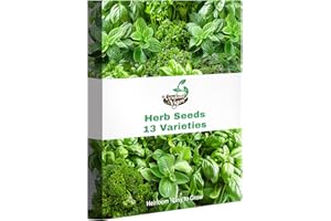 VERDANT VIGOR 15,000+ Herb Seeds for Planting, 13 Varieties Heirloom Culinary Herb Seeds Gift Pack, Non-GMO Herb Seed Garden Kit for Indoor Outdoor Growing, Home Hydroponic Fresh Food Herb Supply