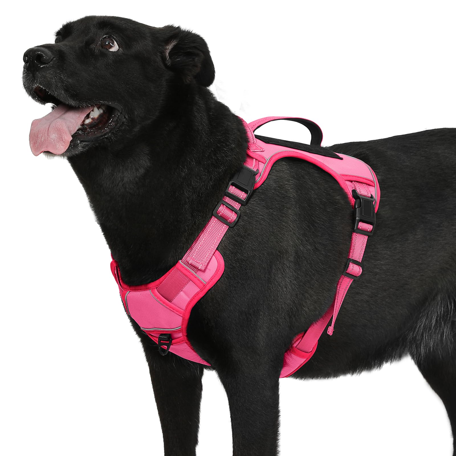 Photo 1 of Bolux Tactical Dog Harness for Large Dogs, No Pull Adjustable, Reflective K9 Working Training, Easy Control, Military Service Dog Harness (Fuchsia, X-Large)