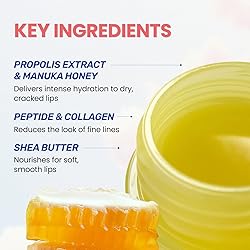 CNP Honey Lip Butter Mini Set – Propolis