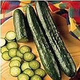 Unknown Sweeter Yet Cucumbers Seeds