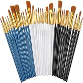 30PCS Paint Brush Set, Assorted Shapes Acrylic Paint Brushes Bulk | Artist Paint Brushes for Kids &amp; Adults, Small Painting Brush for Craft Painting Watercolor Oil with Nylon Hair