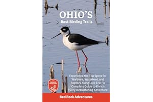 Ohio’s Best Birding Trails: Experience the Top Spots for Warblers, Waterfowl, and Raptors Along Lake Erie—A Complete Guide to