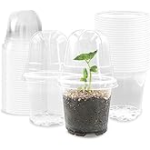 RooTrimmer Transparent Nursery Pots 3.5Inch with Humidity Domes for Seeds Starting, Clear Plastic Plant Pots with Drainage Holes (3.54Inch, 40Pcs,Clear Pots with Lids)