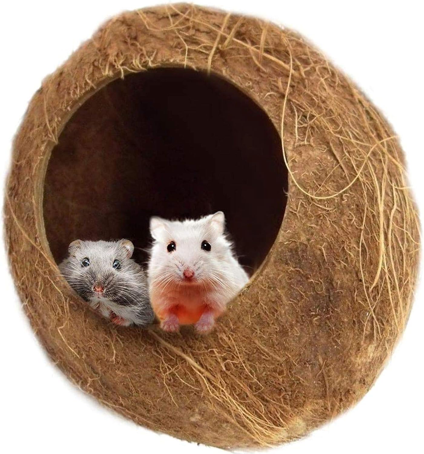 gerbil toys amazon