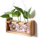 Glass Plant Propagation Station Butterfly Vases for Plants Birthday Gifts for Women Mom Office Home Decoration with Wooden Stand