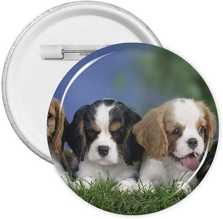 Amazon キャバリア キング チャールズ スパニエル 犬柄 バッジ 缶バッチ ボタンバッジ ピンバッチ バッジ Badge Button ボタンブローチ おもちゃ雑貨 コレクション 工芸品 簡単 軽量 リュック トートバッグ ラペルピン ジャケット用 おもちゃ おもちゃ