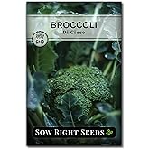 Sow Right Seeds - Di Cicco Broccoli Seed for Planting Vegetable Garden