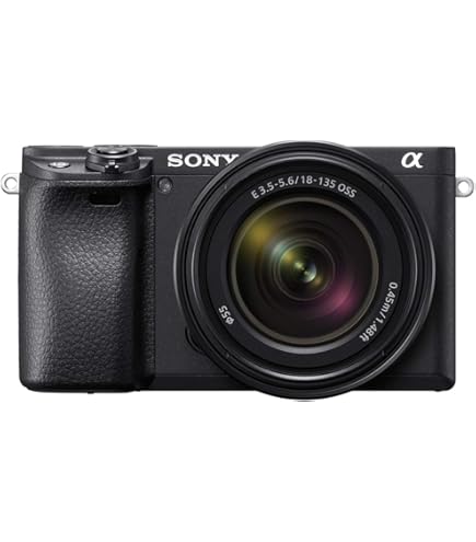 Amazon.com : Sony Alpha a6400 Mirrorless Camera Double Zoom Lens